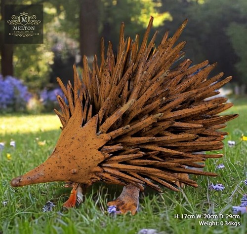 Hedgehog rusty metal - rusty,