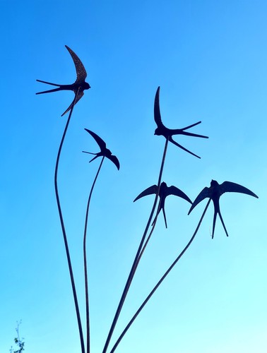 Five swallows metal - swallows, garden