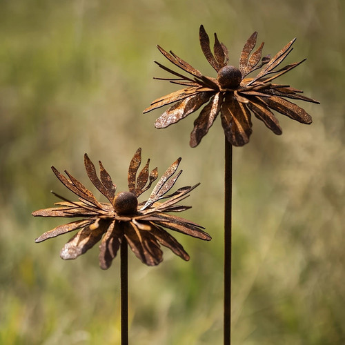 Set rusty cornflower - set,