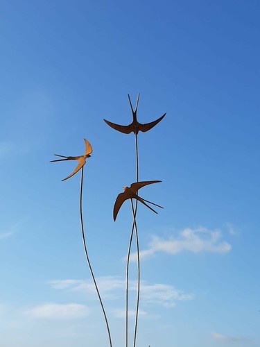 Cuffy metal triple - metal, swallows