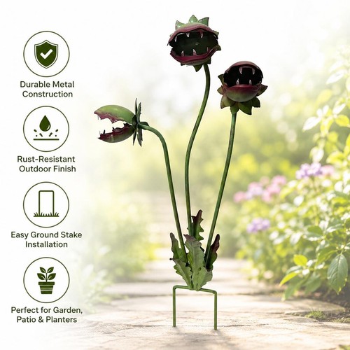 Carnivorous plant garden - carnivorous,