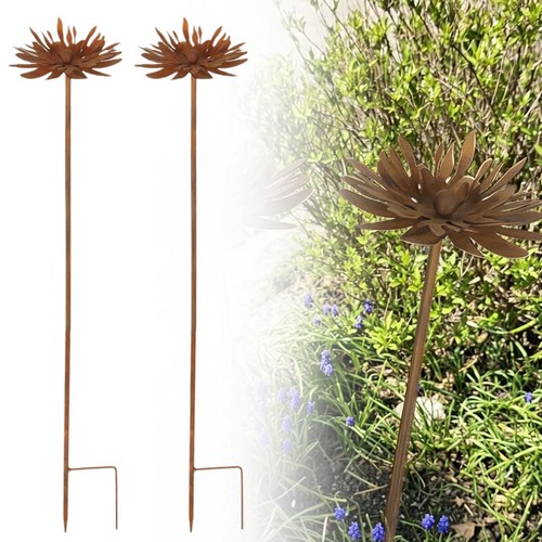 Rusty cornflower garden - 2,