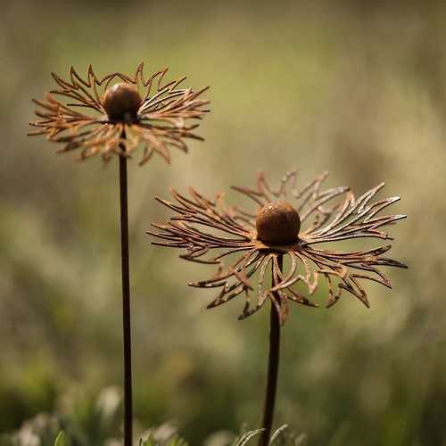 Cornflower garden stake iron - cornflower,