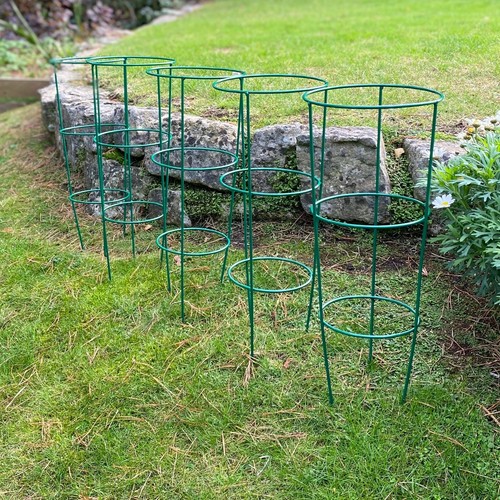 Metal conical garden plant - x,