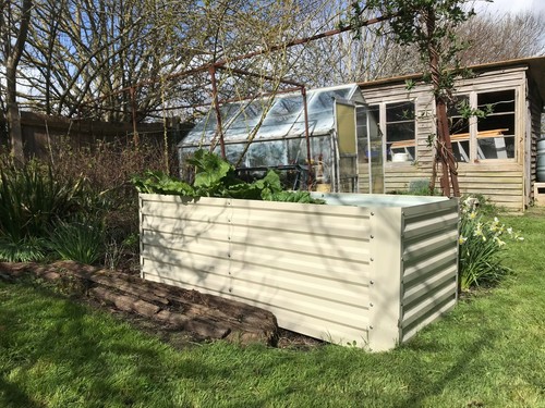 Raised garden bed - bed, large
