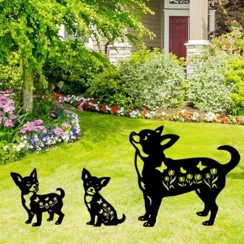 Pack black chihuahua - black,