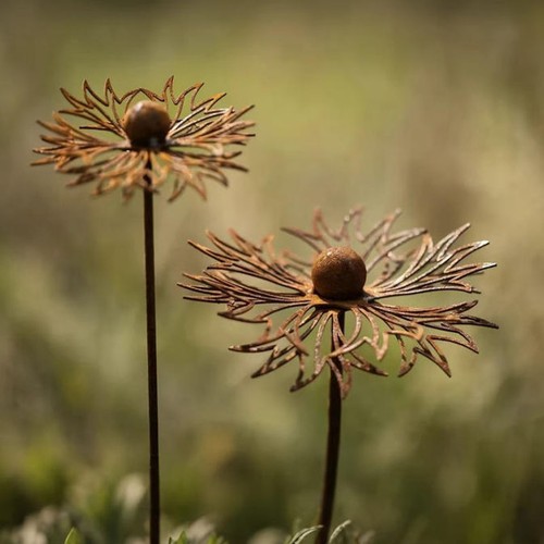 2pcs rusty cornflower garden - rusty,