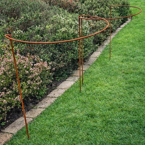 Rust garden metal plant - metal, hoops
