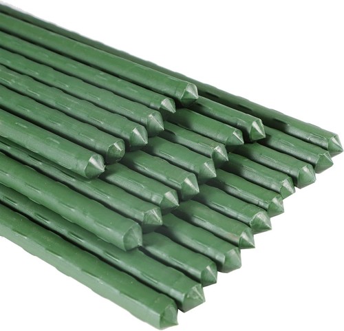 Green garden plant - green, stakes