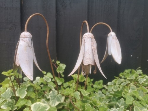 Set metal snowdrop flower - snowdrop,
