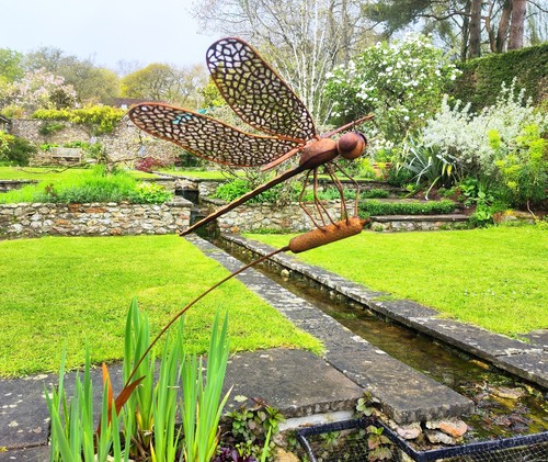 Metal dragonfly garden - metal,
