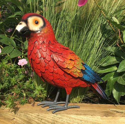 Metal parrot macaw - macaw, garden